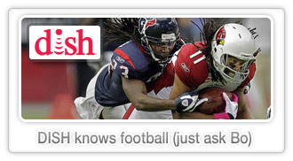 dish-football